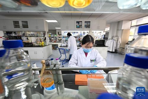 我在崗位上迎新年 企業(yè)技術(shù)咨詢服務(wù)的堅(jiān)守與展望